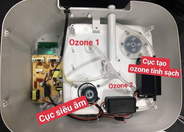 Công nghệ Ozone tinh sạch trên máy rửa thực phẩm Ecomama