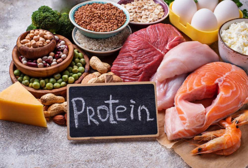 Các loại thực phẩm giàu Protein tốt cho sức khỏe
