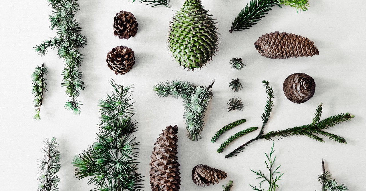 image background footer